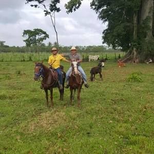 Meet your Posher, Fredy